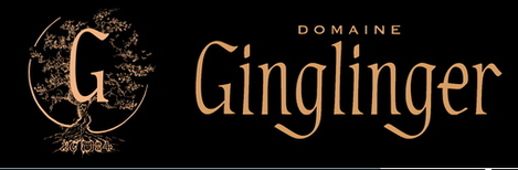 logo Domaine Ginglinger, lalsace-en-Bouteille